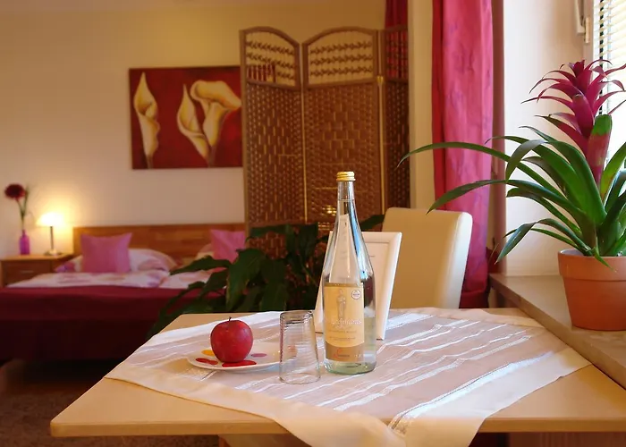 公寓式酒店 Parkresidenz Garni 巴特阿巴赫